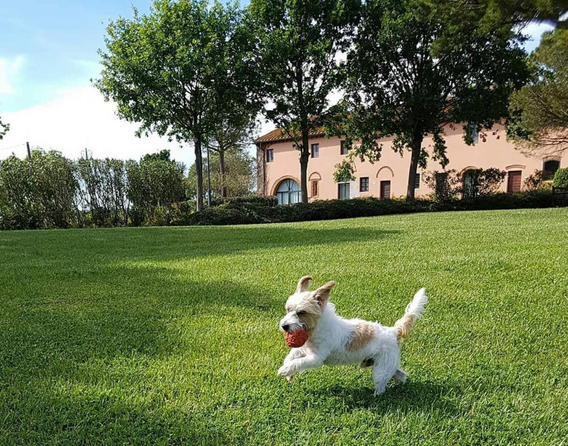 La Magnifica B&B Fauglia Kültér fotó